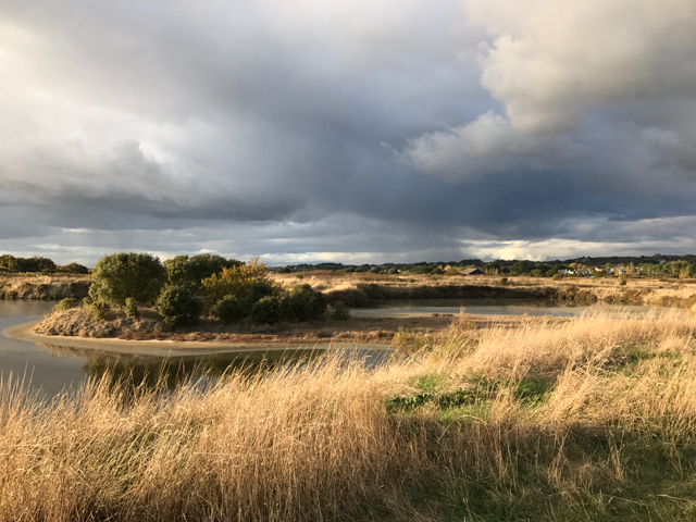 Marais Salant Orage